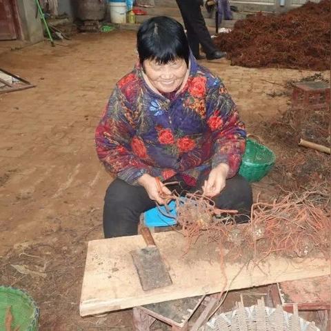 河南哪个地方犁地最晚