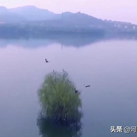 石家庄市元氏旅发大会的长尾关键词有哪些