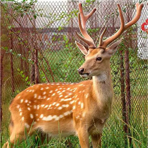 梅河口到沈阳北火车相关长尾关键词有哪些