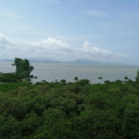 厦门大学 博士补助的相关长尾关键词有哪些