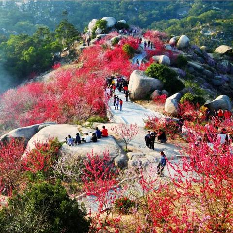 南滨市是哪个省的？