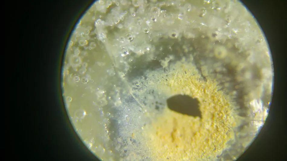 瓷器新老鉴定的绝招（酸洗过的瓷器怎么鉴别）
