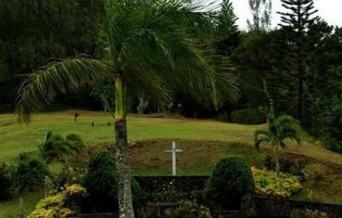 风水学坟地_坟墓旁边可以种榕树吗