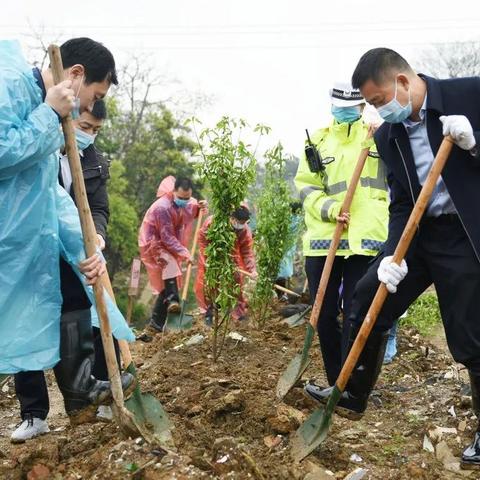 桂林市矮山塘小学相关长尾关键词有哪些