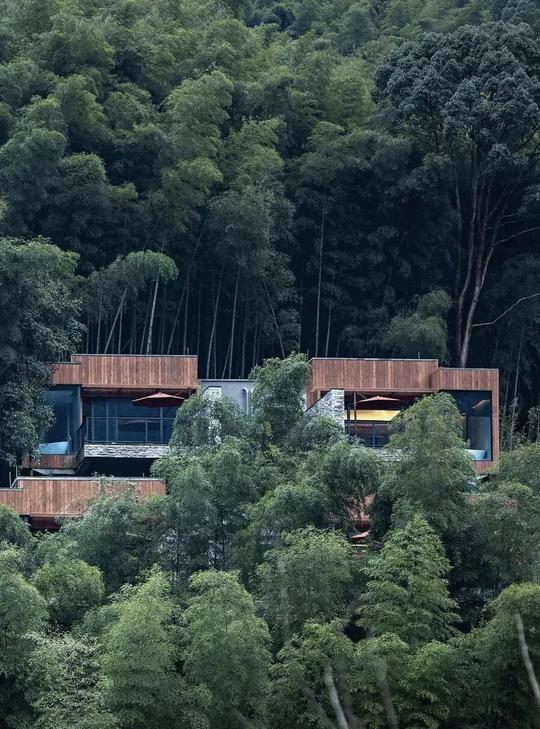 第524期丨解析浙江冷门小县城如何打造安缦系重磅温泉酒店
