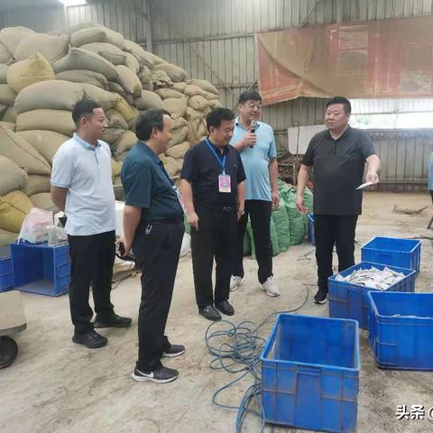 河南艾制品怎么样