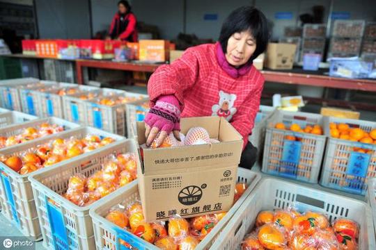 因为马云很多人都说电商最赚钱，三问农产品电商真的好做吗？