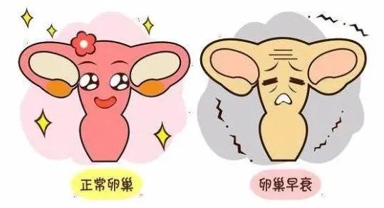 警惕！备孕期间熬夜不可取
