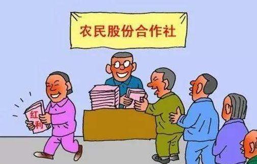 合作社缺钱怎么办？怎样拿补贴？怎样才能赚钱？这里讲透了