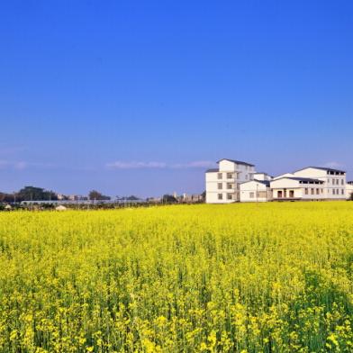 南宁麻将馆朝阳的相关长尾关键词有哪些