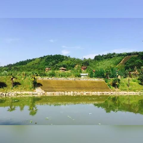 西安市鲁家村在什么