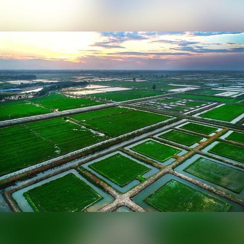 信阳农业银行几号上班？