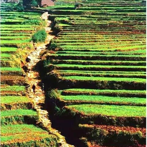 南通飞机到宜宾相关长尾关键词有哪些