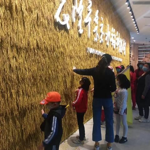 什么是杂交水稻