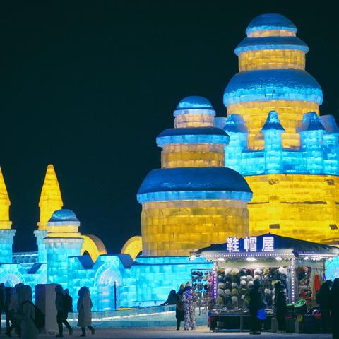 哈尔滨市共享单车有多少