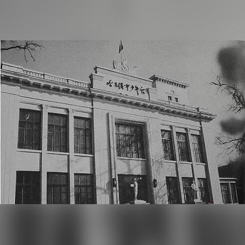 哈尔滨市少年宫有什么特色班