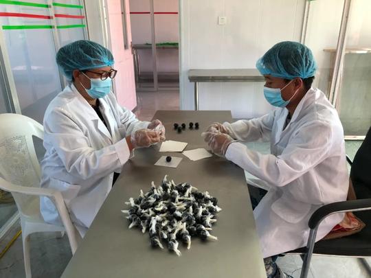 碱厂镇赵堡村丁鹤黄炳楠——“小夫妻”创业路上“并肩行”