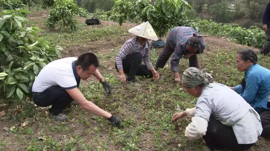 【脱贫攻坚群英谱】雷丰富：树高千尺不忘根回乡创业报乡亲