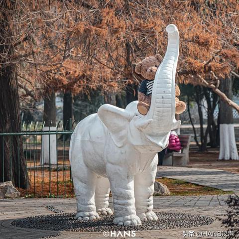 武汉初中等级abc分别代表多少分？