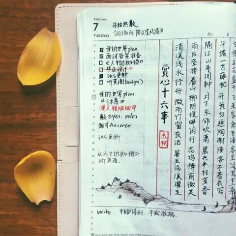 会计账本怎么装订啊？