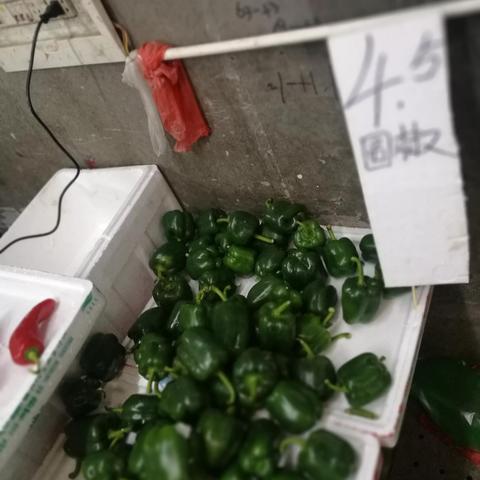 12生肖龙10月运势(属龙10月份运势2021)