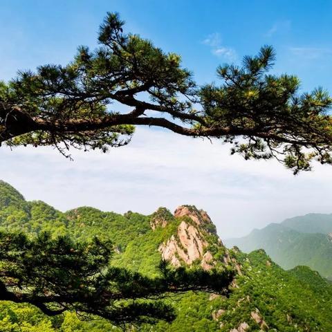 河南省内漂流最长的是什么地方？