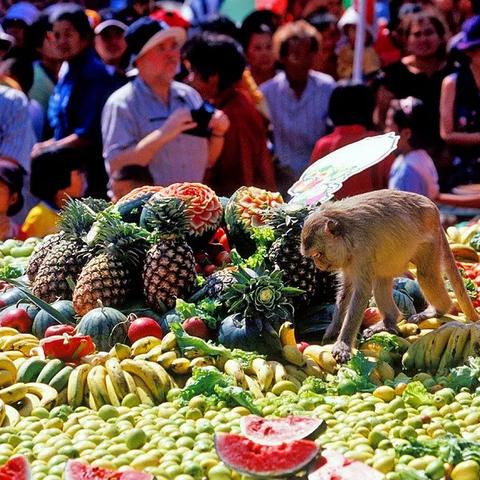 自由是不想做什么就不做什么的长尾关键词是什么