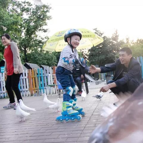 合肥市哪里卖鸽药