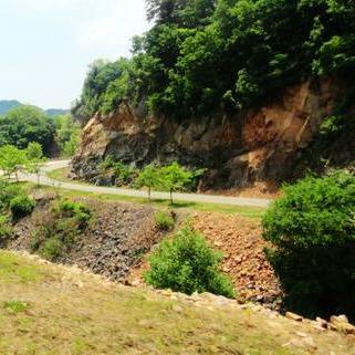 桂林市去哪里坐游船最近