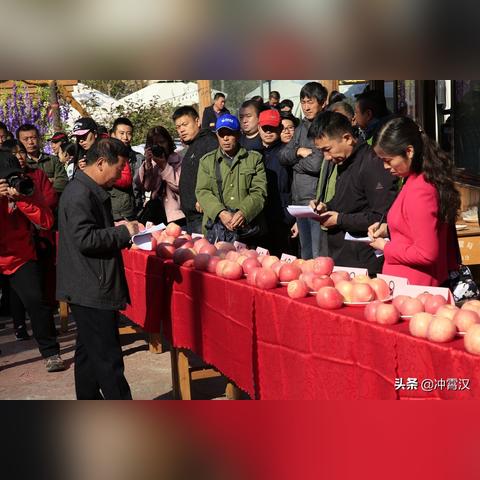 保定市苹果公园在哪里