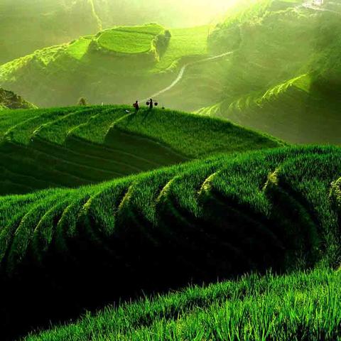 桂林山水甲天下买个平安扣多少钱？