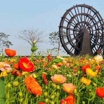 广东佛山市哪里买马蜂窝好的长尾关键词有哪些