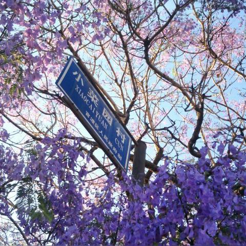 昆明市人民东路广场的长尾关键词有什么