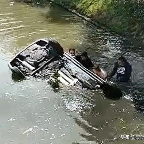 上海杨北路有哪些站点