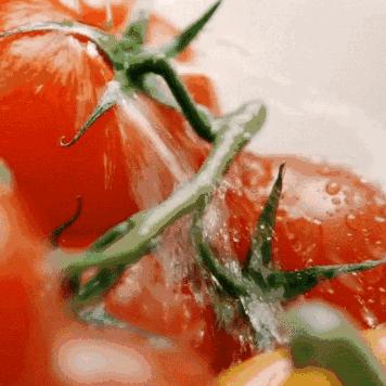 苏州地区常熟市特级建筑企业的长尾关键词有哪些