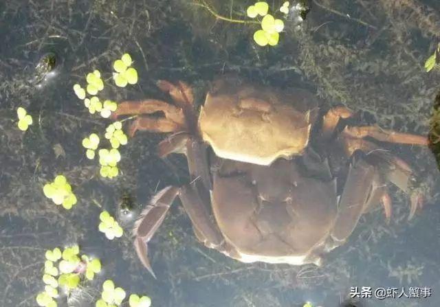 注意预防“4大元凶”
