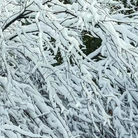 合肥过年大雪相关长尾关键词有哪些