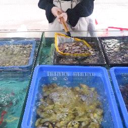 长沙水渡河海鲜市场营业时间？