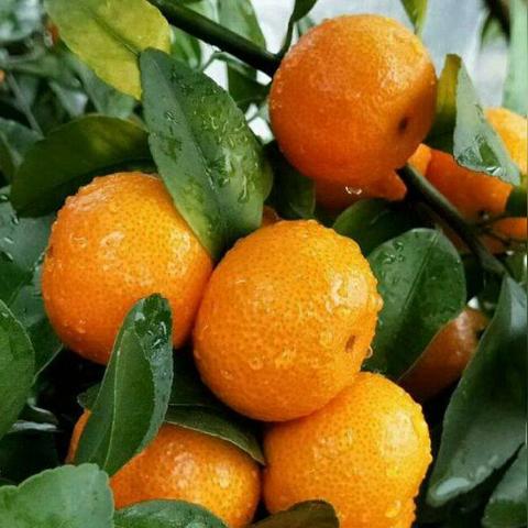 桂林城区采购相关长尾关键词有哪些