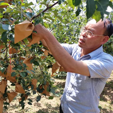 关于75年的我在上海打拼相关关键词有哪些