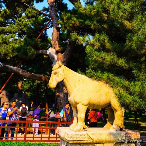 沈阳市哪个区地势最高