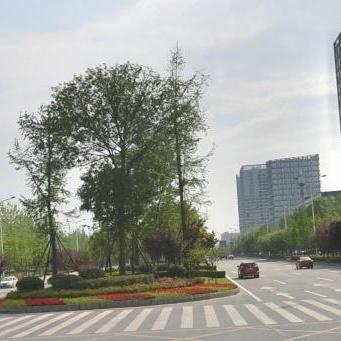 成都市郫县有地铁吗的长尾关键词有哪些