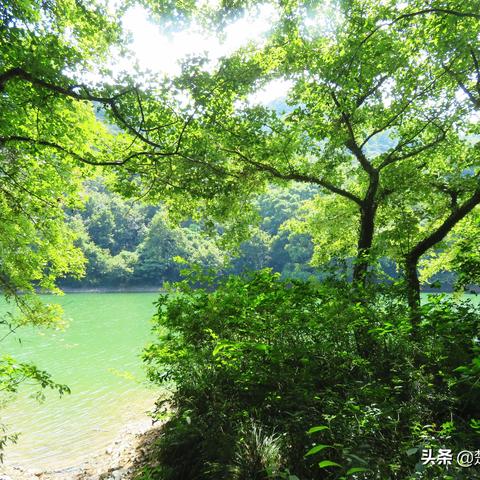 宁波市的地势特征是什么