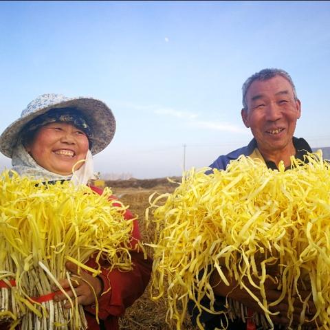 兰州龚家湾属于什么区？