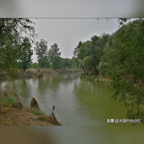 石家庄市7号湿地在哪里