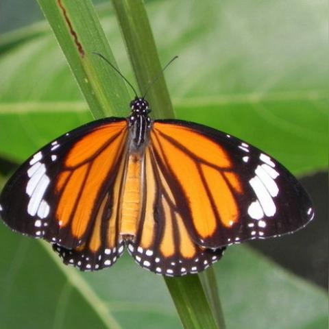 珠海做什么生意赚钱的长尾关键词是什么