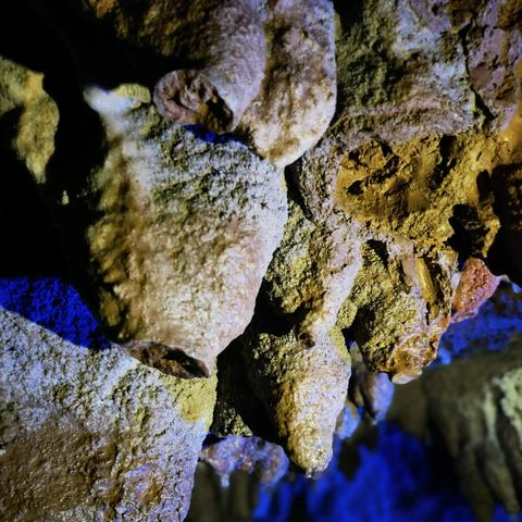 桂林到荔浦的车时刻表相关长尾关键词有哪些