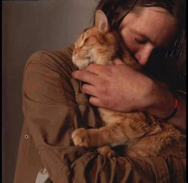 流浪猫鲍勃去世是怎么回事