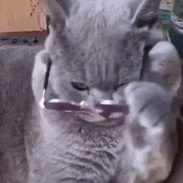 网友下班看到橘猫双手“投降”，走近一看哈哈大笑：你也有今天？