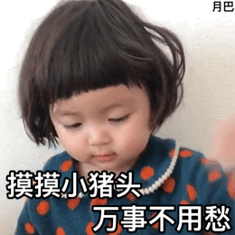 摸摸小猪头十八禁搞笑表情包